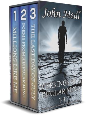 cover image of Workings of a Bipolar Mind 1-3 Omnibus